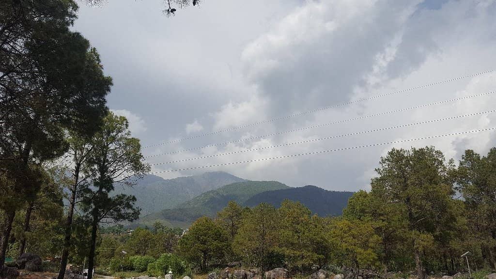 Dhauladhar Mountain Views