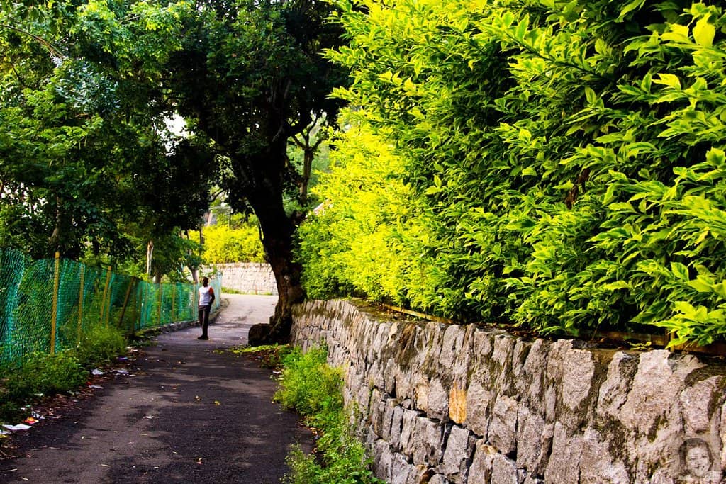 Yercaud Lake Overflow