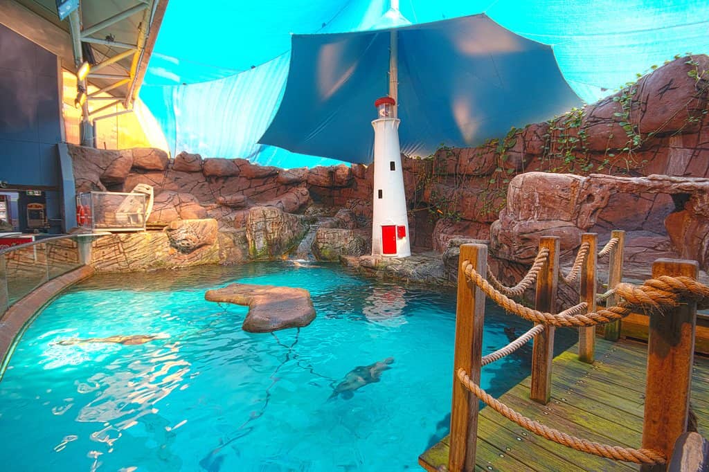 Interactive Touch Pool