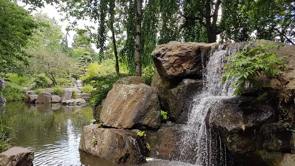 Zen Garden Paths