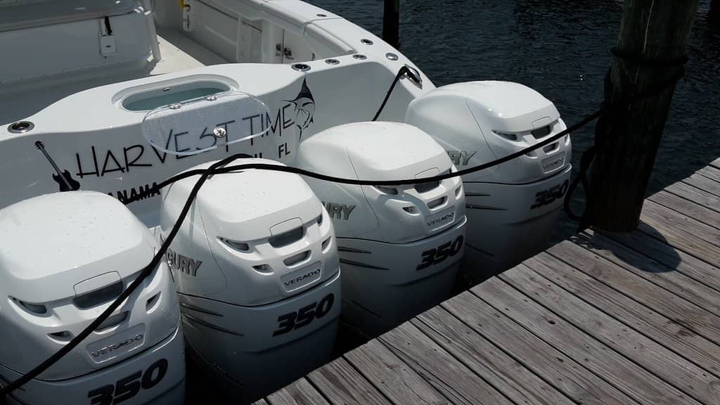 Abundant Shell Collecting