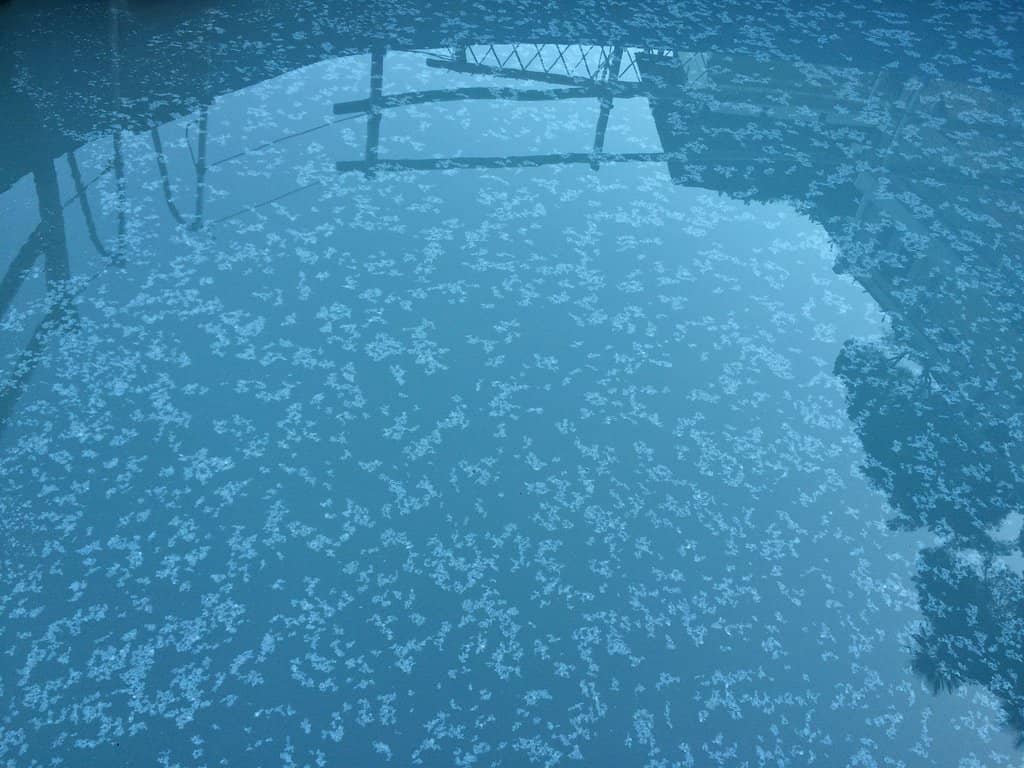 Refined Seaside Atmosphere