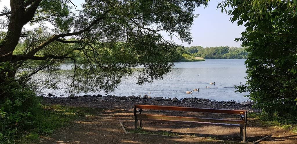 Lakeside Trails