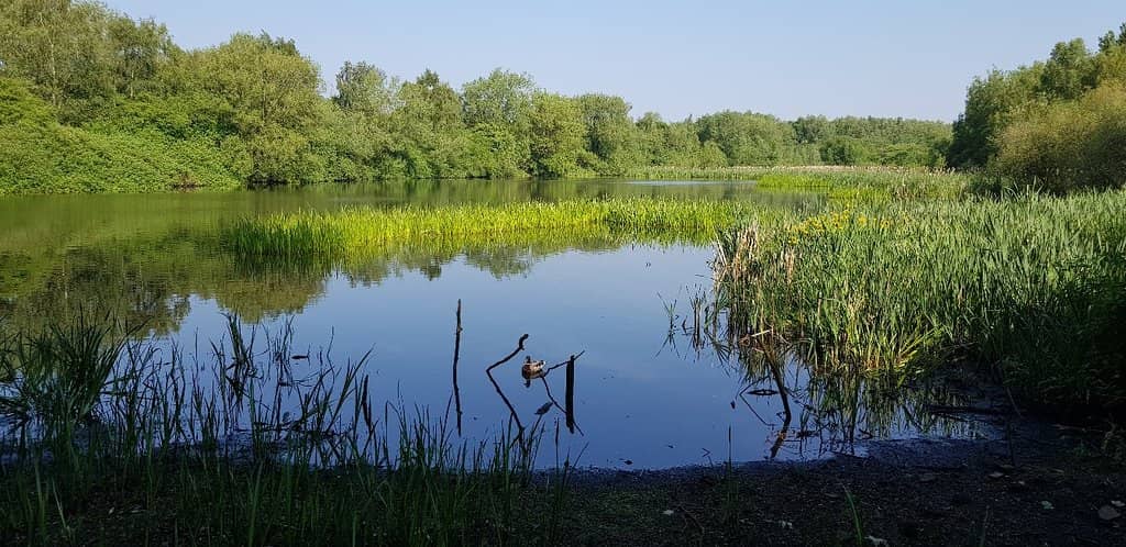 Adventure Playground