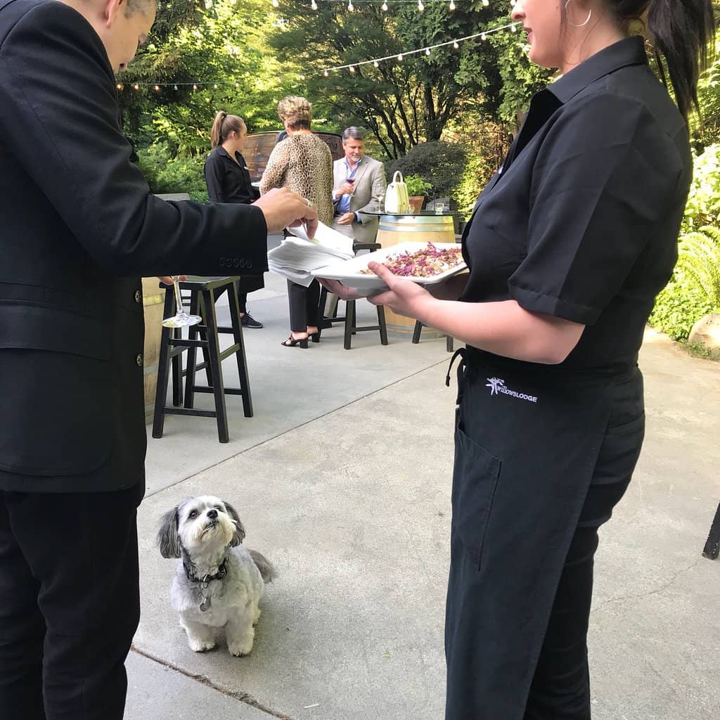 Intimate Venue Charm