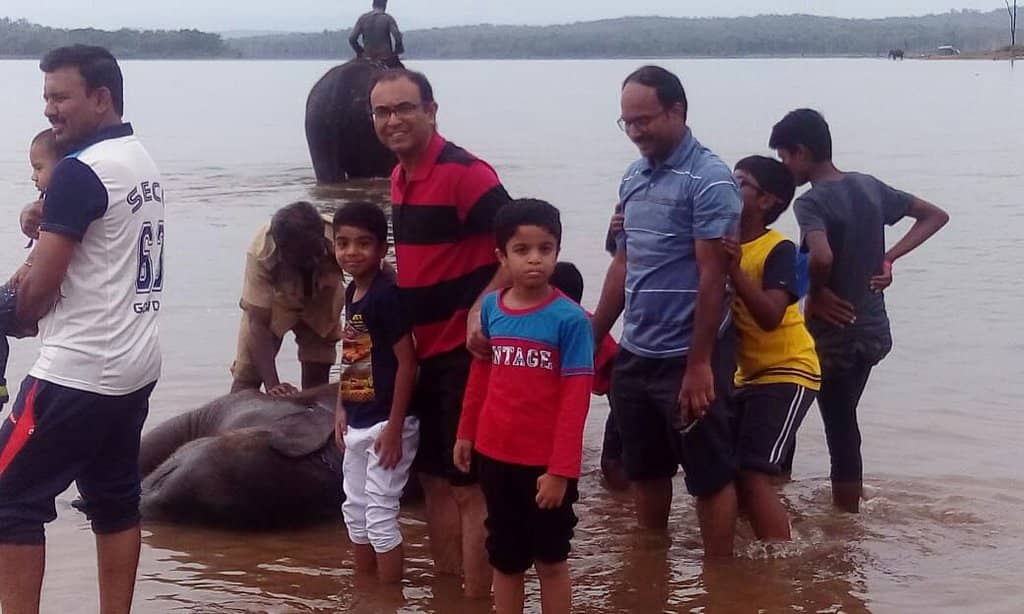 Up-Close Elephant Encounters