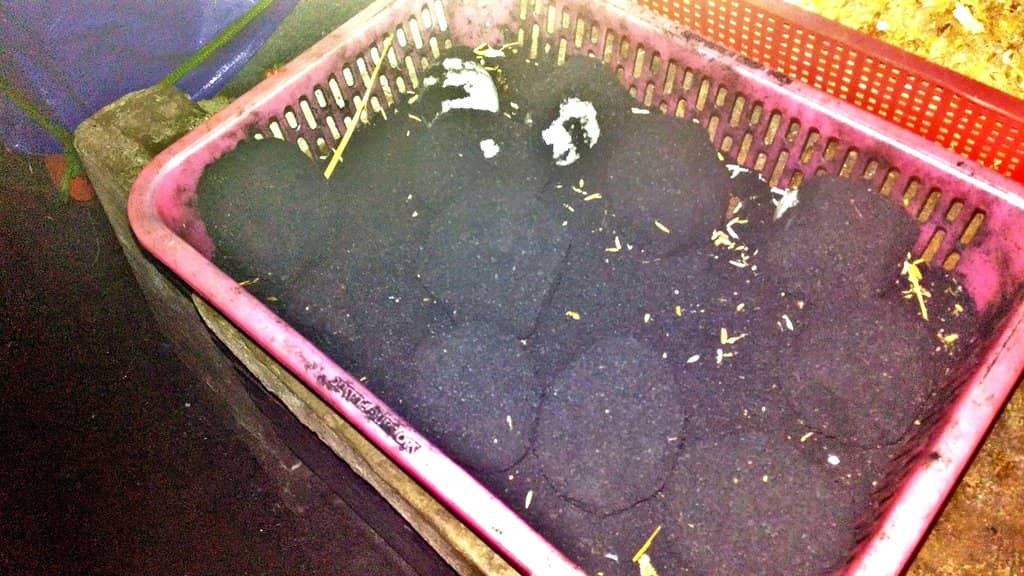 Fresh Seafood Galore