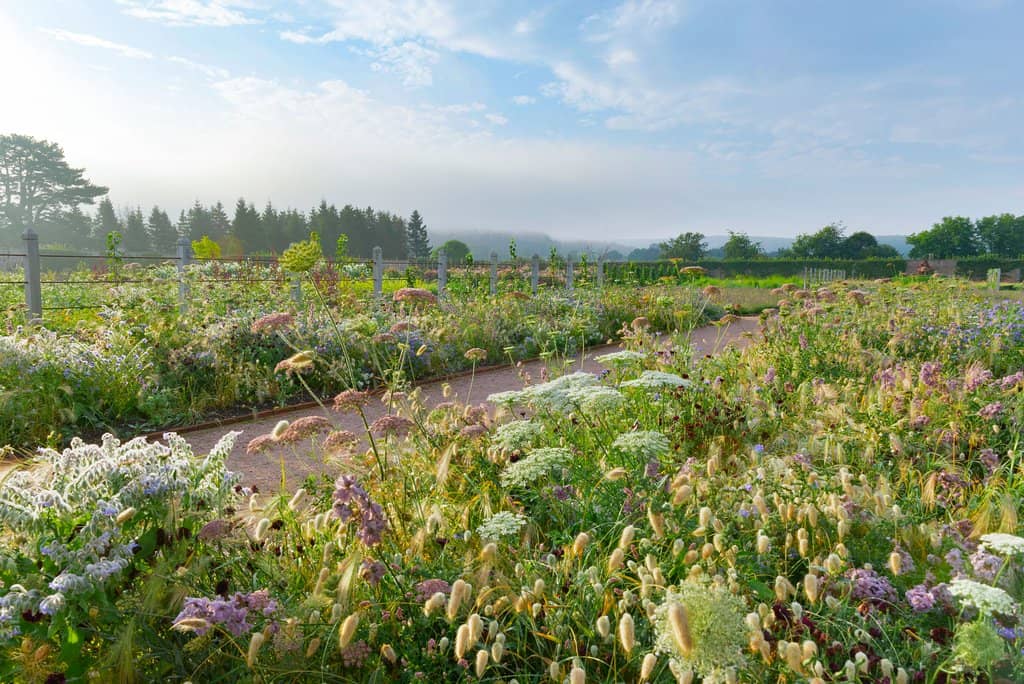 Productive Kitchen Garden