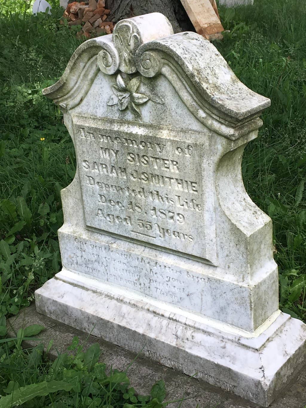 Community History Insights