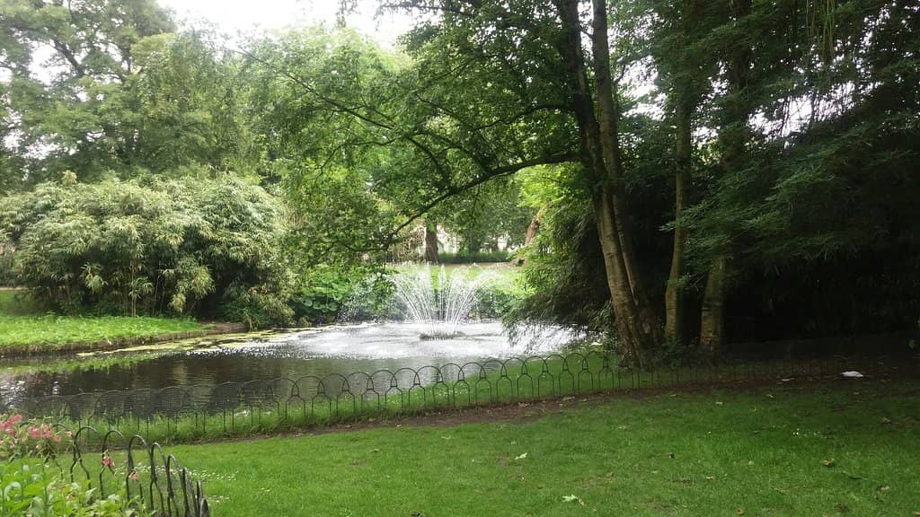 Children's Play Area