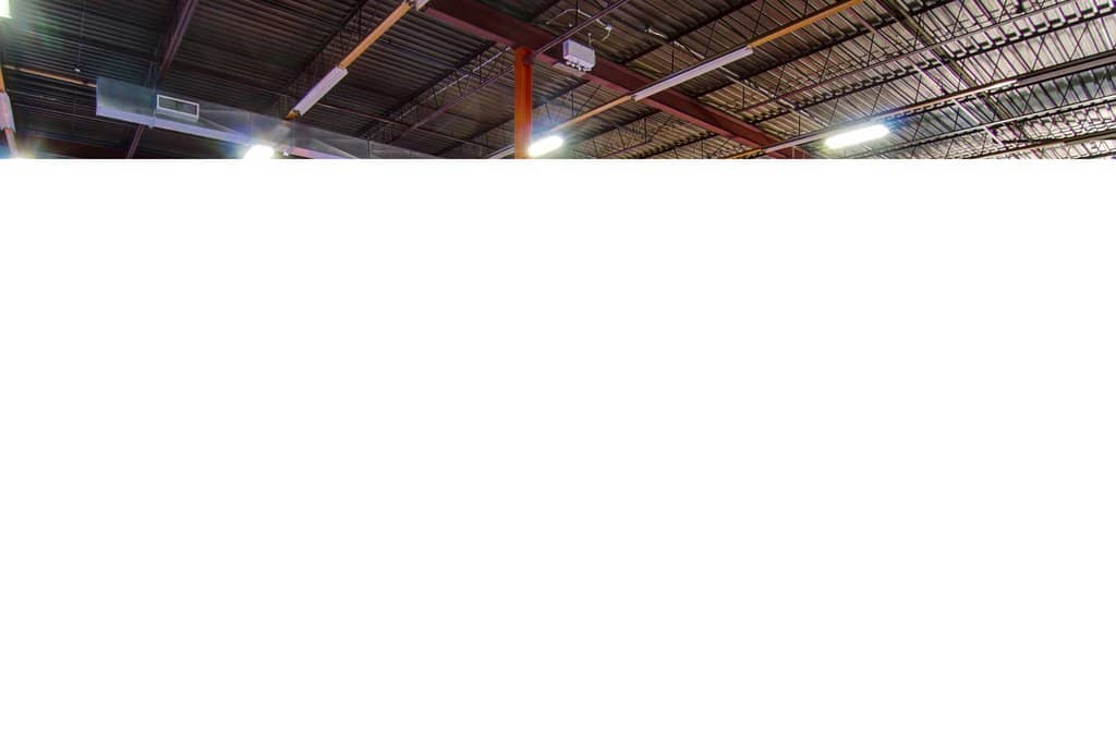 Highlights