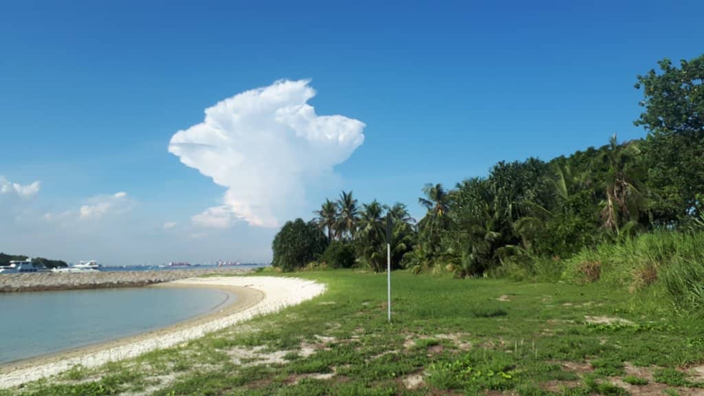 Coral Reefs & Marine Life