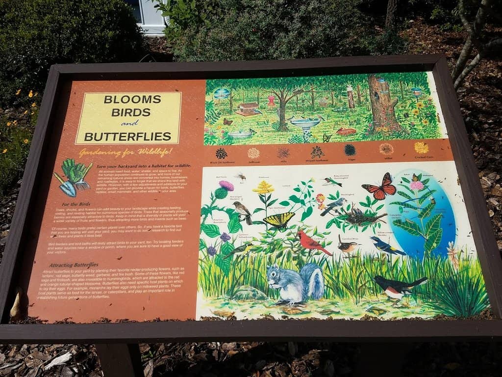 Wings of the West Art Installation