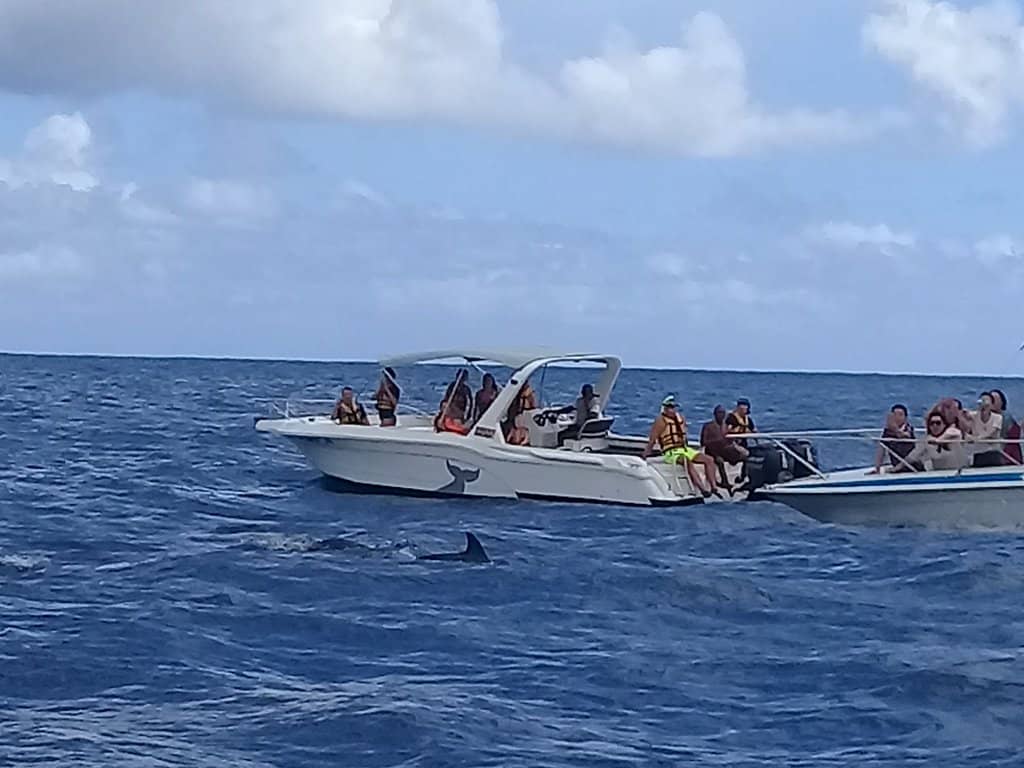Snorkeling at Coral Reefs