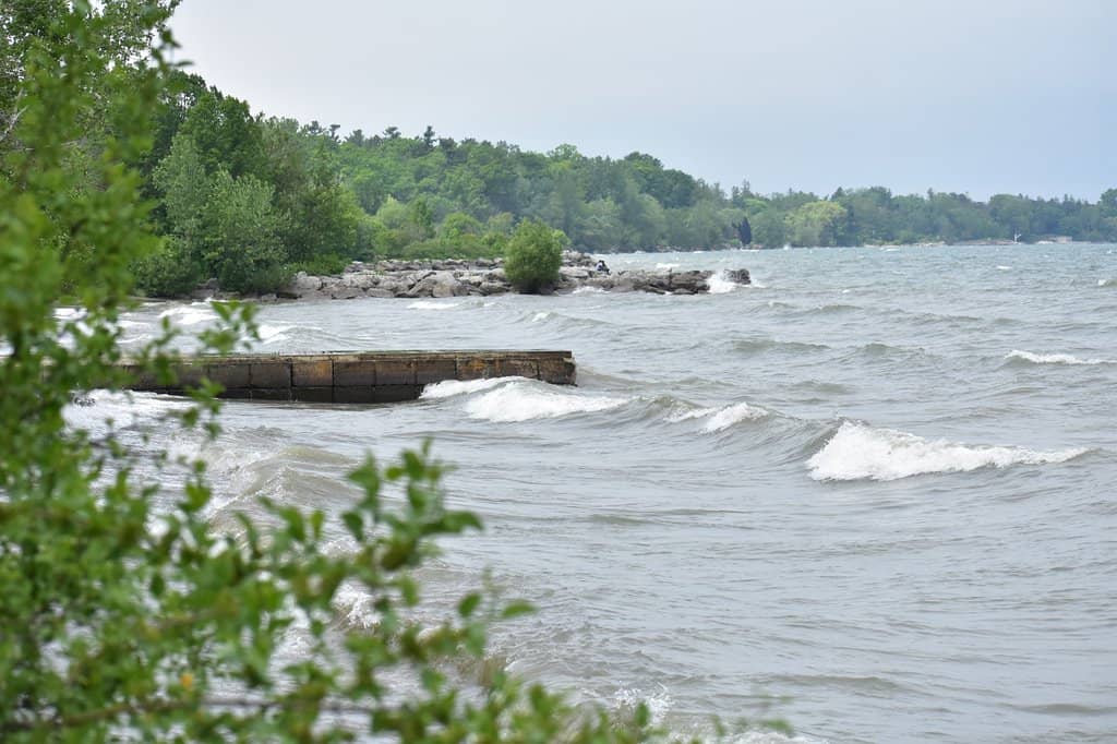 The Boardwalk Trail