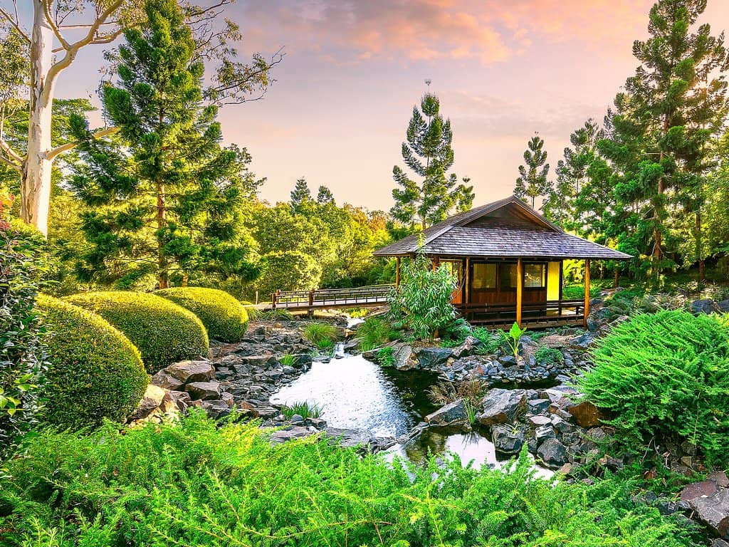 Japanese Tea Ceremonies