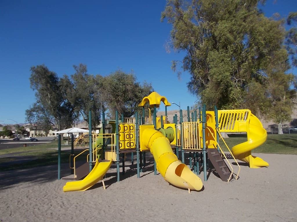 Dog Park Fun