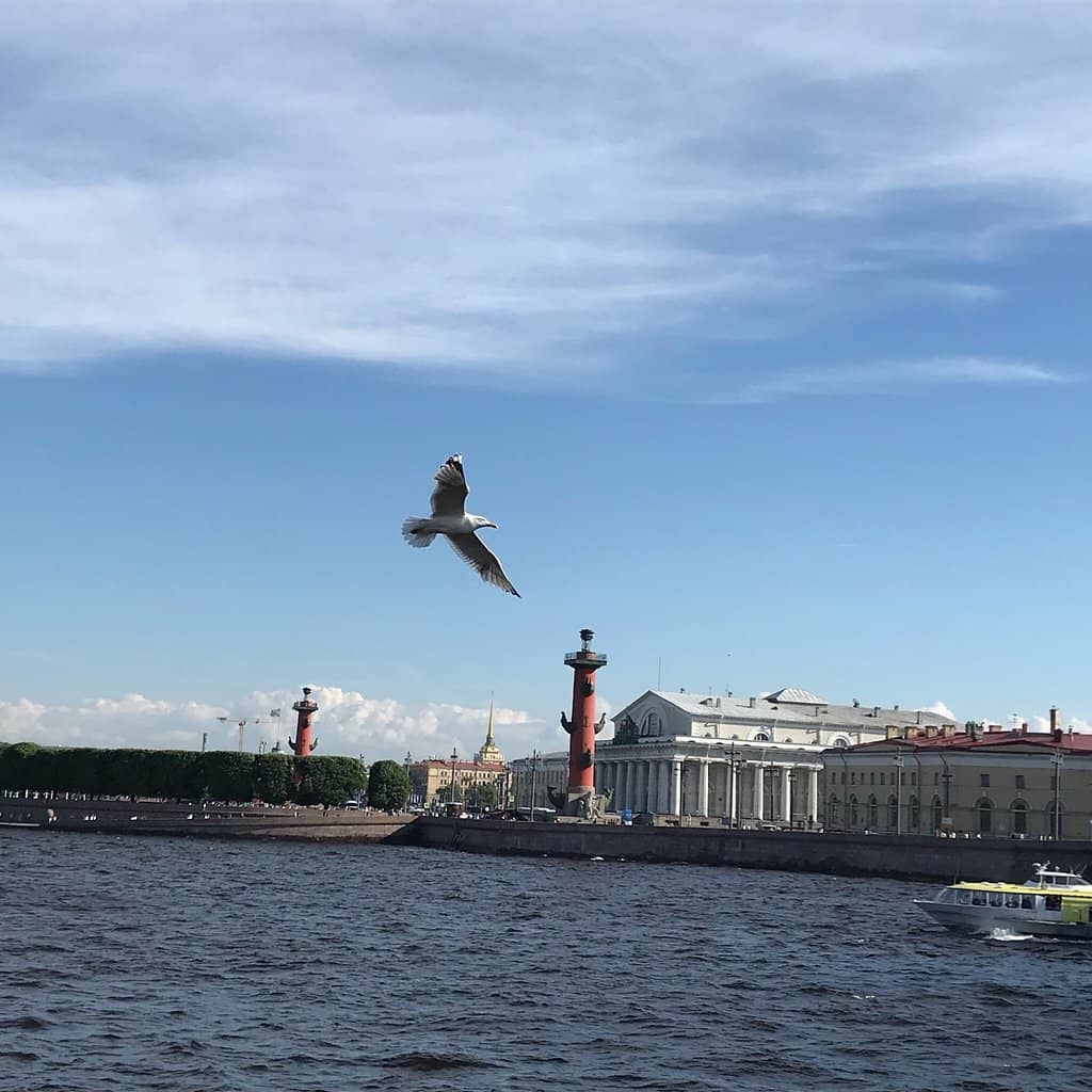 Neva River Boat Tour