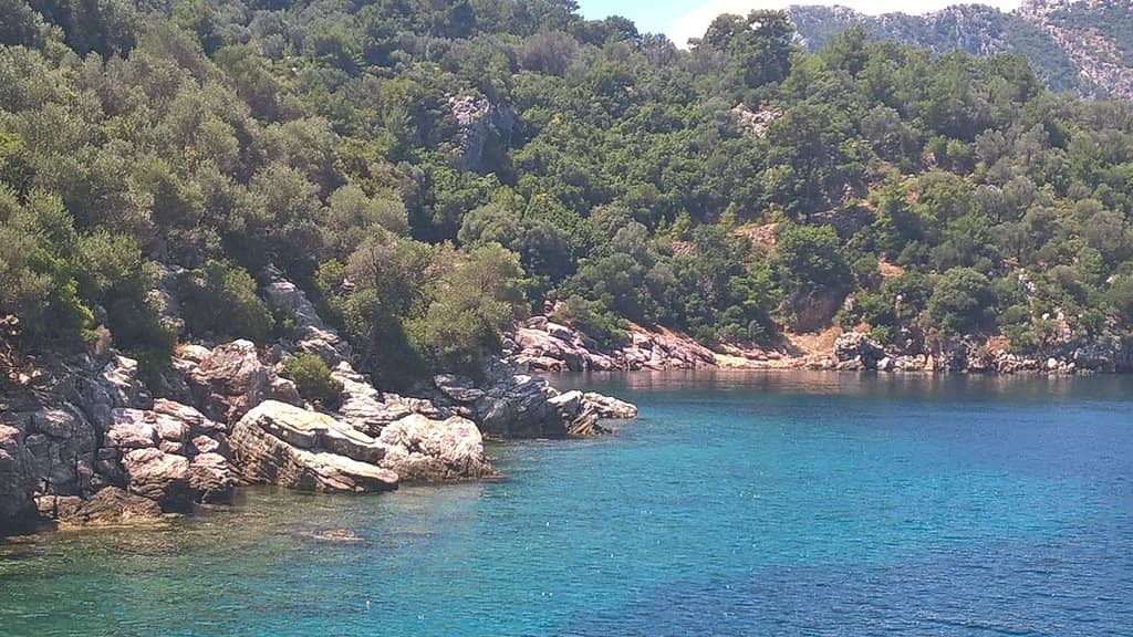 Crystal Clear Swimming Bays