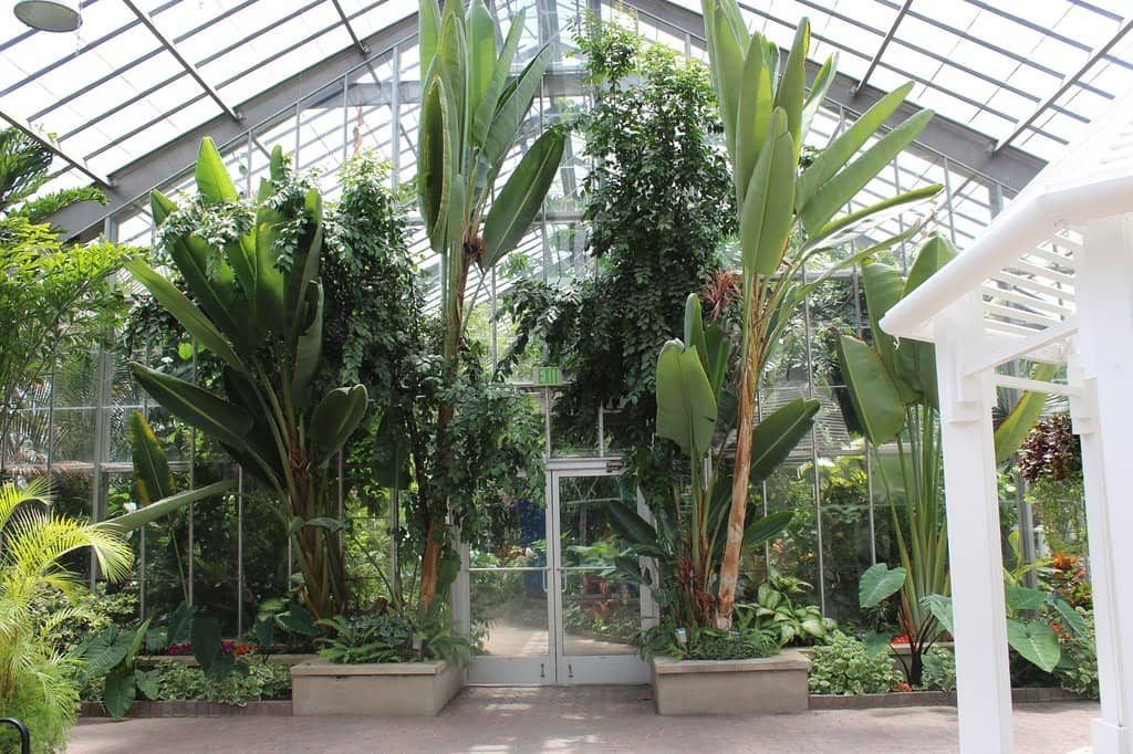 Fern Room