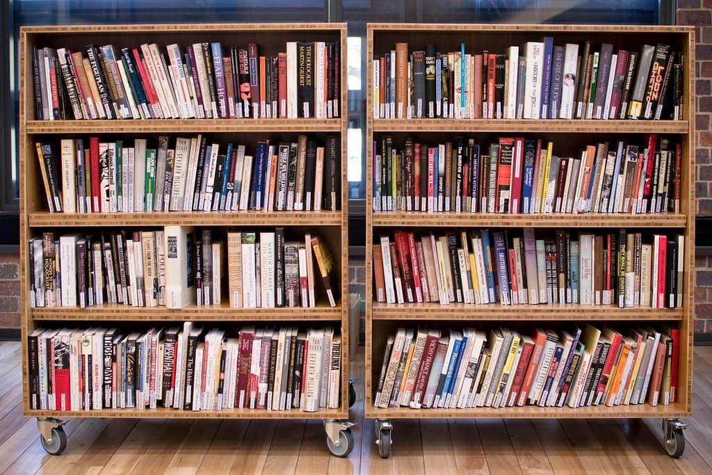 Survivor Testimonies