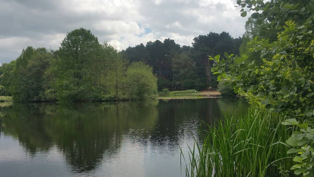 Woodland Walks