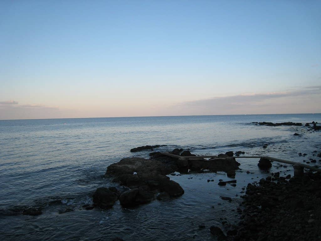 Vertical photo