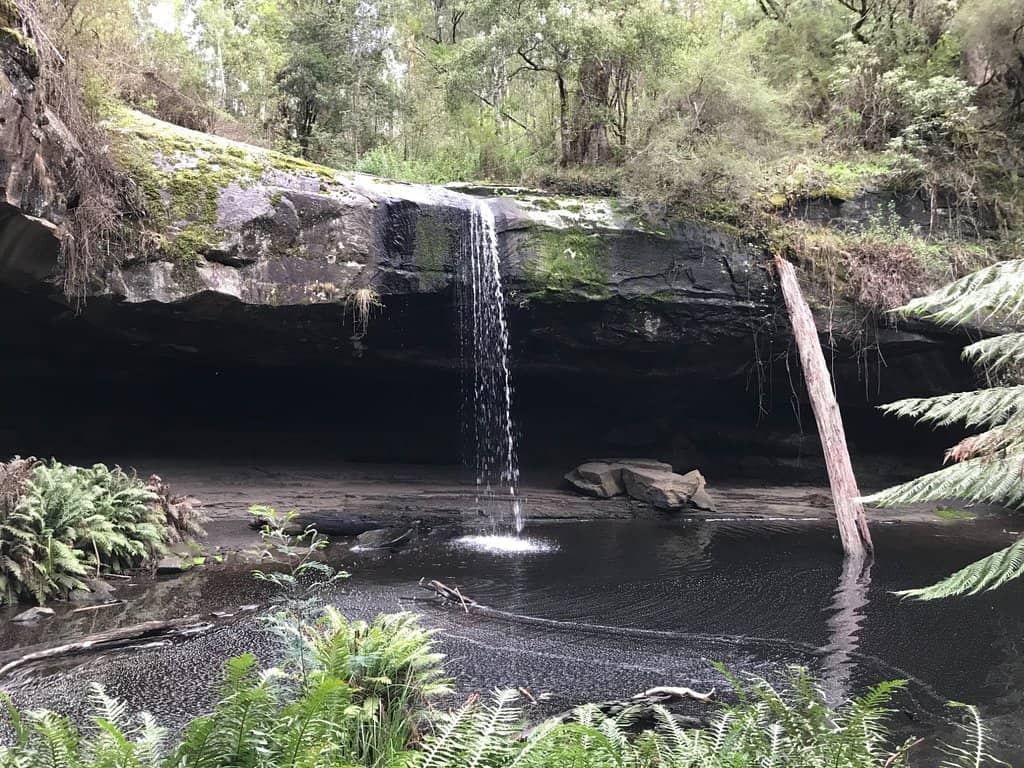 Vertical photo