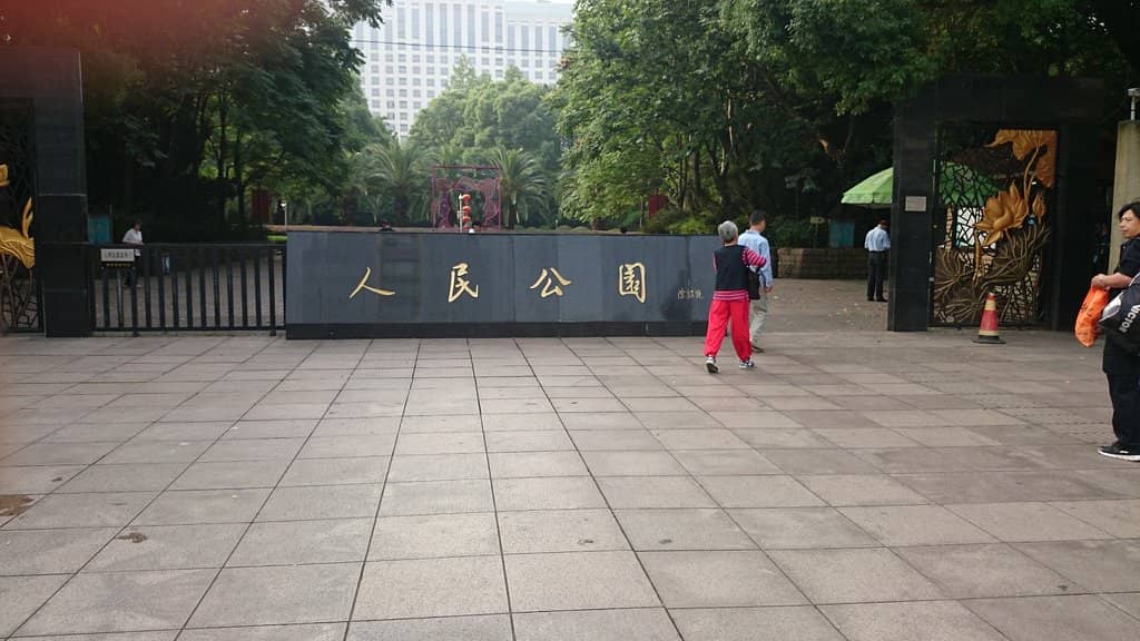 Vertical photo