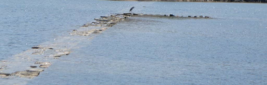 Ancient Basilica Floor Mosaics