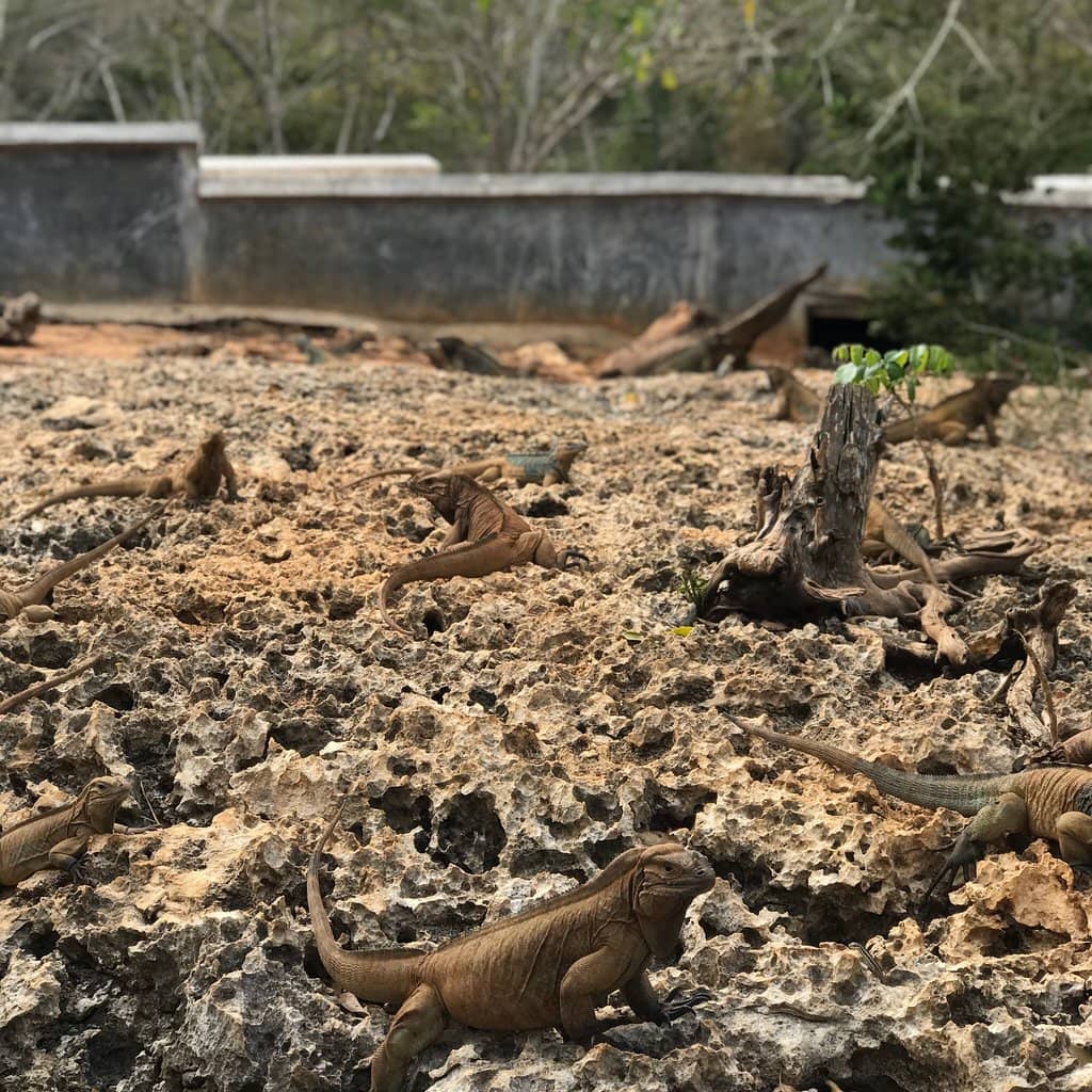 The 'Marble Floor' Concert Hall