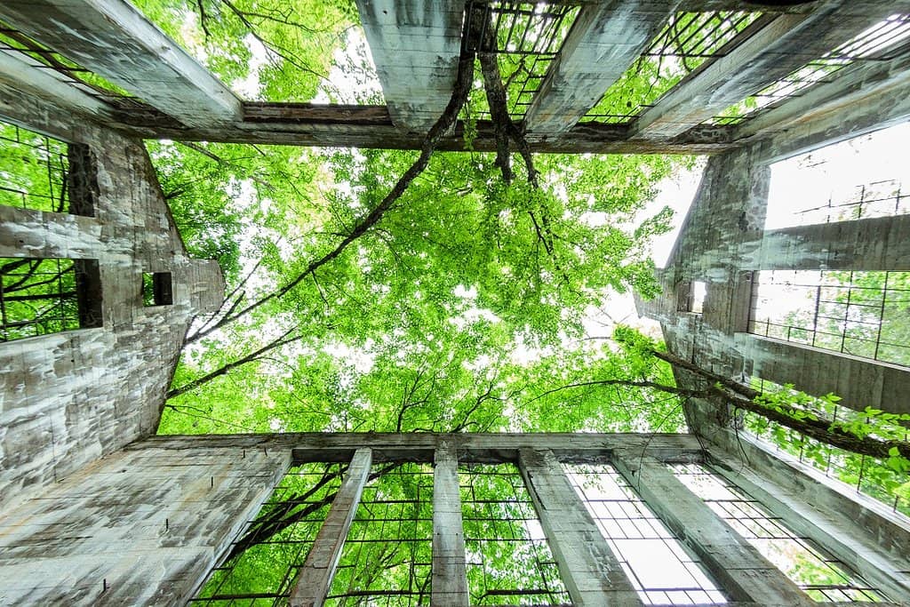 Vertical photo