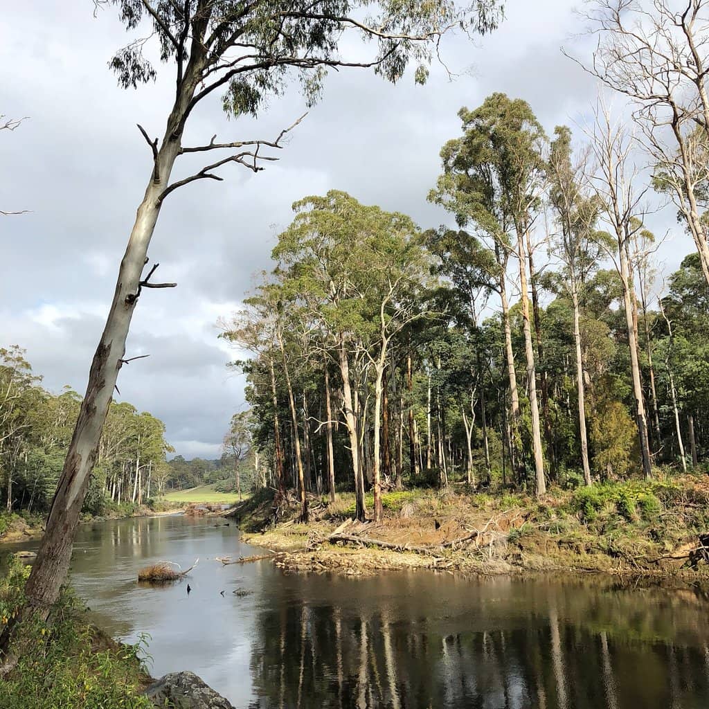 Birdwatching Paradise