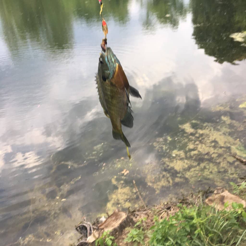 Rocky Outcrops & Boulders