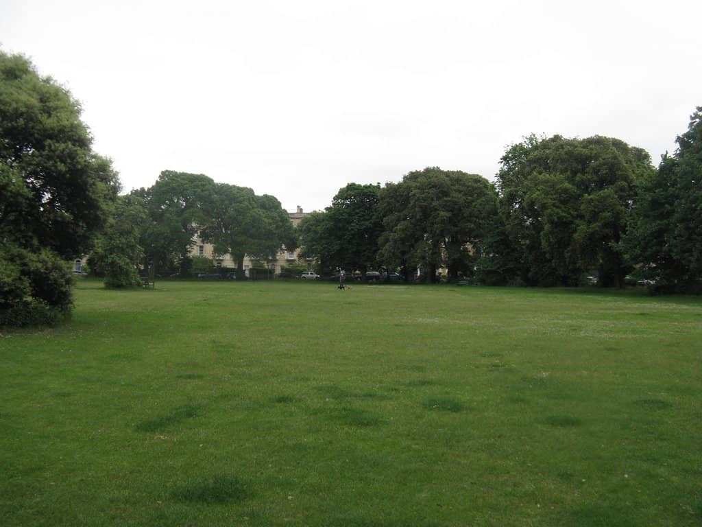 Tranquil Green Space