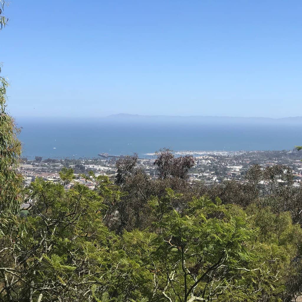 Tranquil Picnic Spot