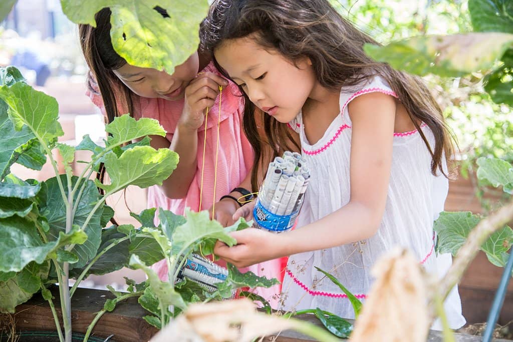 The Courtyard & Gardens