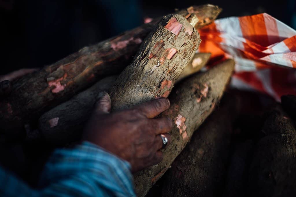 Engaging Staff & Atmosphere