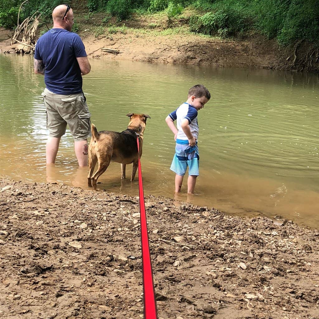 Informational Posters