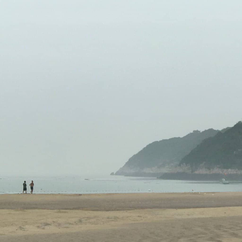 Falling Flower Sword Palm