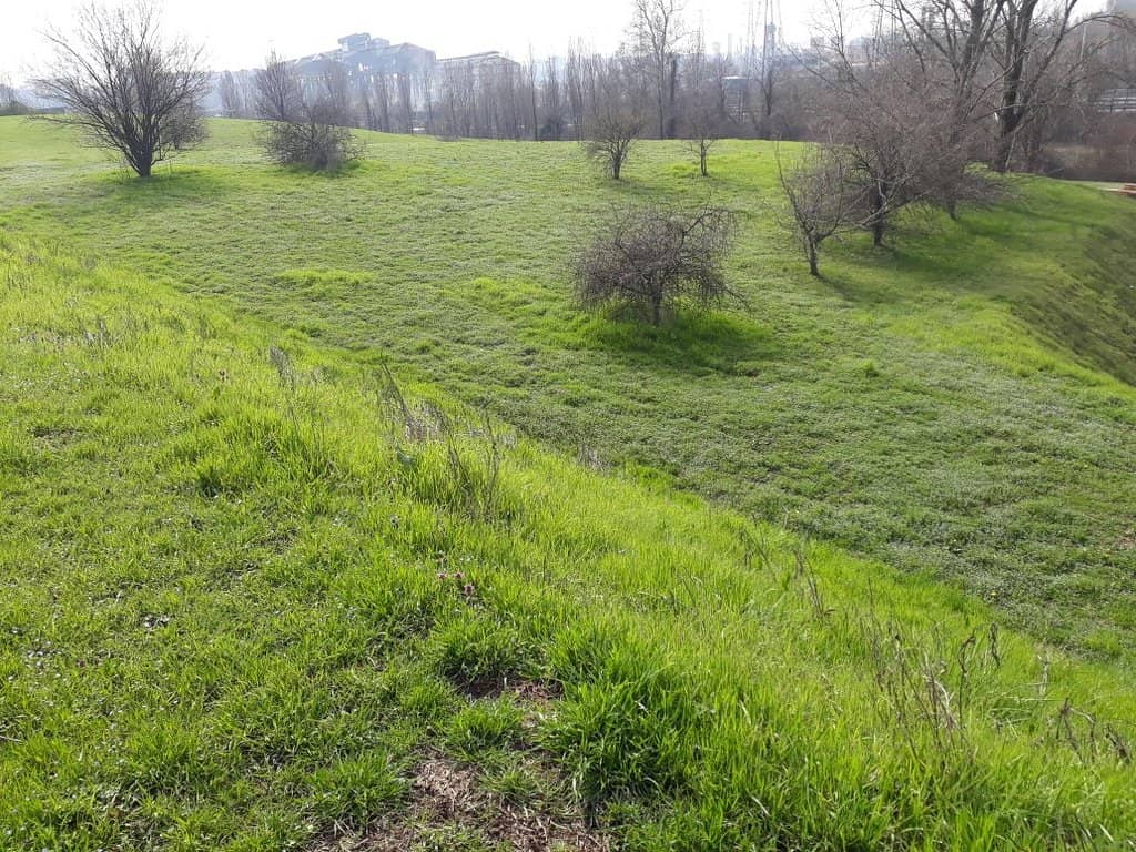 Rabbit Encounters
