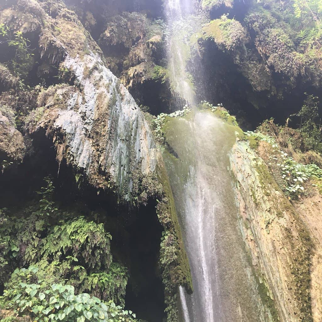 Vertical photo