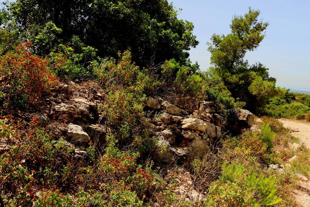 Elijah's Statue & Gardens