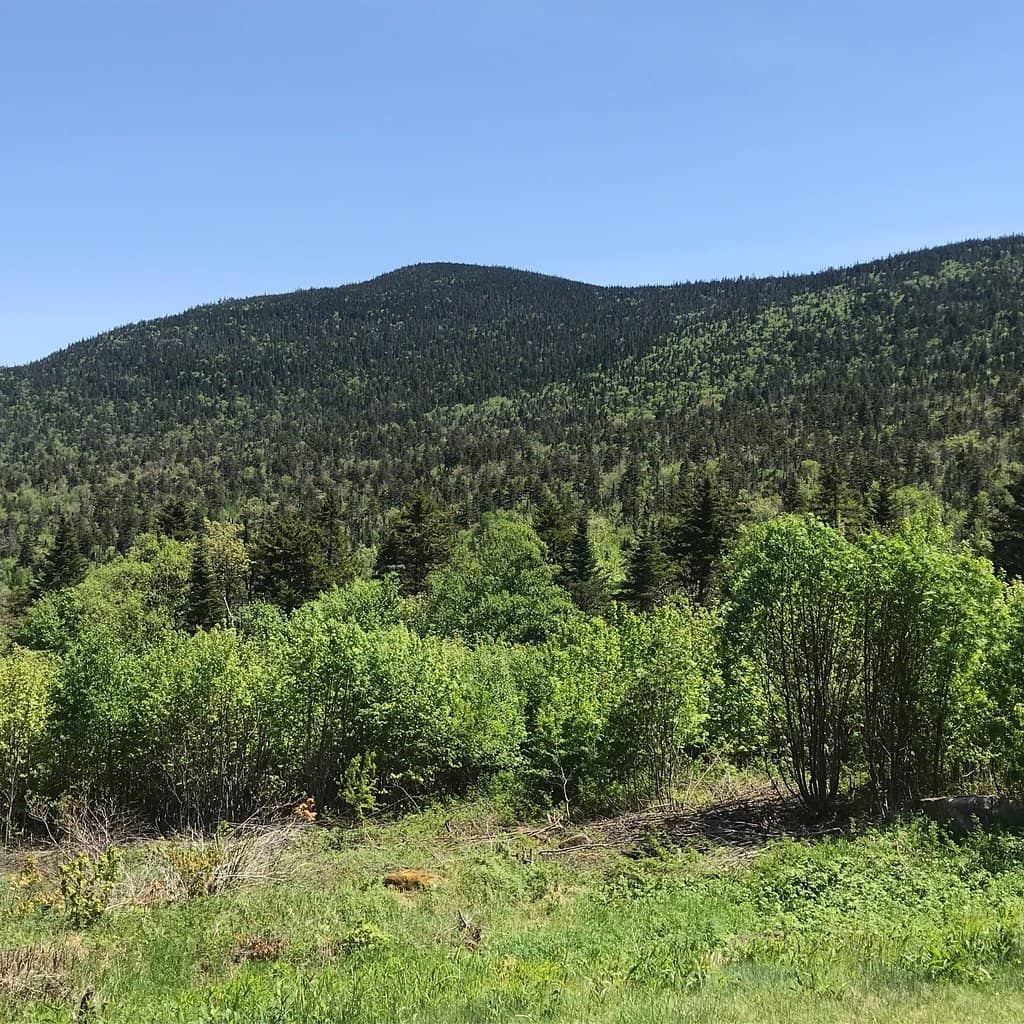 Albany Covered Bridge