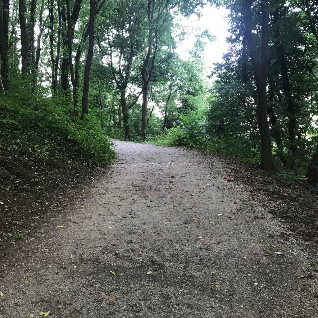 Panoramic City Views