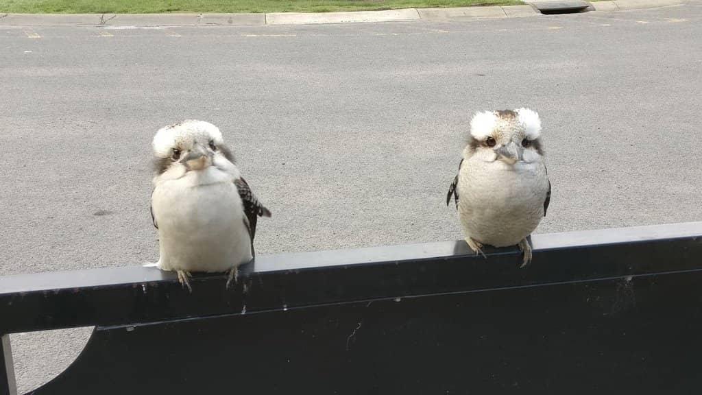 Rainforest Nature Trail