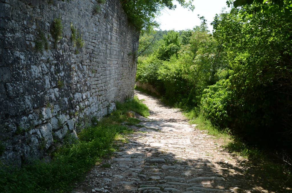 Nature Reclaiming History