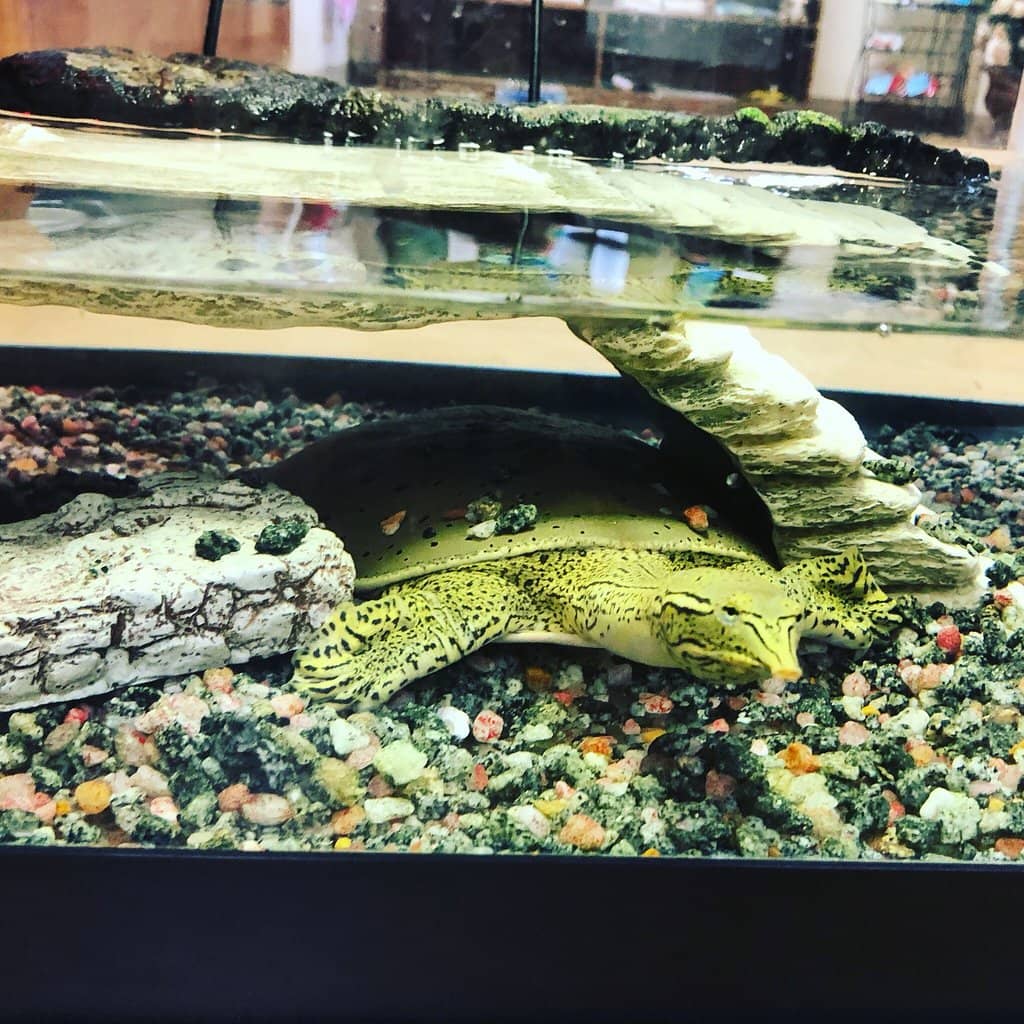 Special Events & Festivals