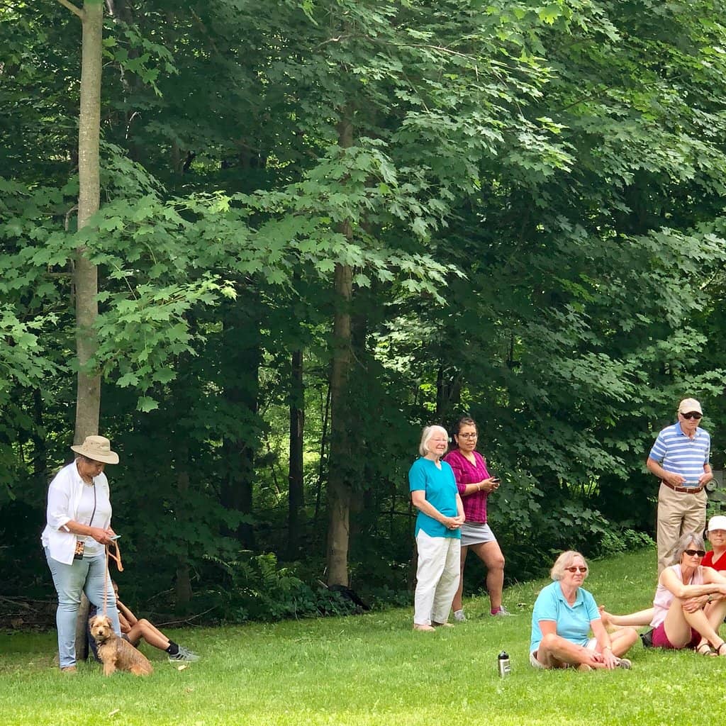 Stories of Resilience