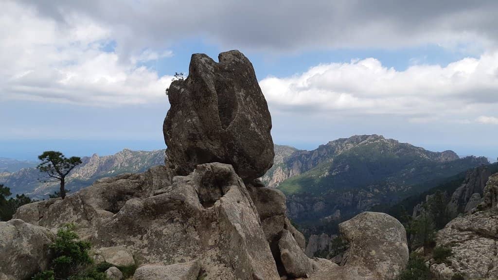 Bottom Viewpoint